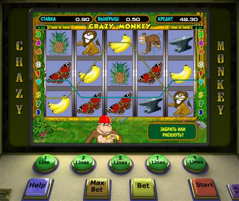 Игровой автомат Jungle  играть бесплатно